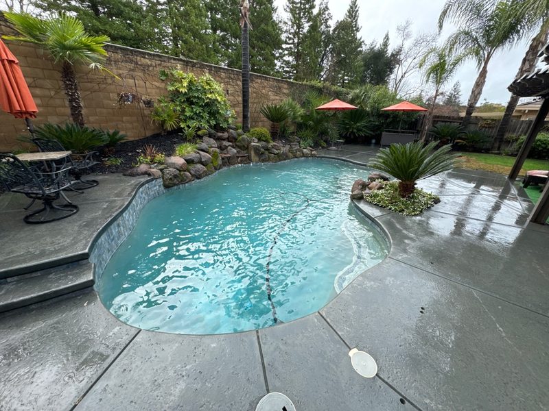 Tropical freeform pool with patio and umbrella in Roseville area